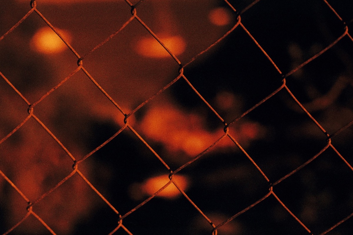 Through the fences